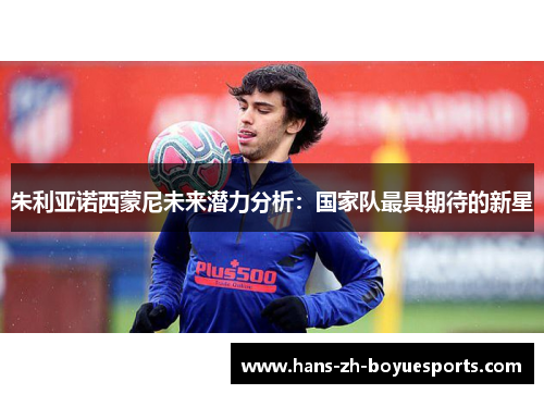 朱利亚诺西蒙尼未来潜力分析:国家队最具期待的新星 朱利亚诺西蒙尼未来潜力分析:国家队最具期待的新星